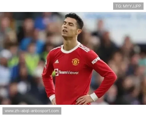 英超球队胸口的红花背后故事与象征